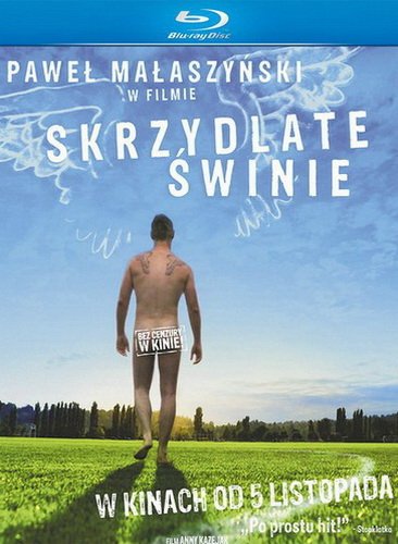 фильм Крылатые свиньи (2010)