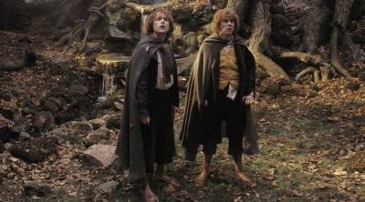 Властелин колец: Братство кольца - Скриншот 3