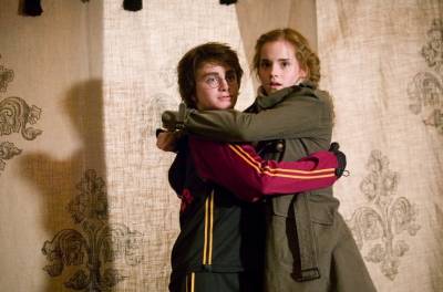 Гарри Поттер и Кубок огня - Скриншот 2
