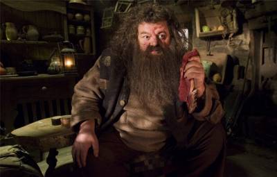 Гарри Поттер и Орден Феникса - Скриншот 3