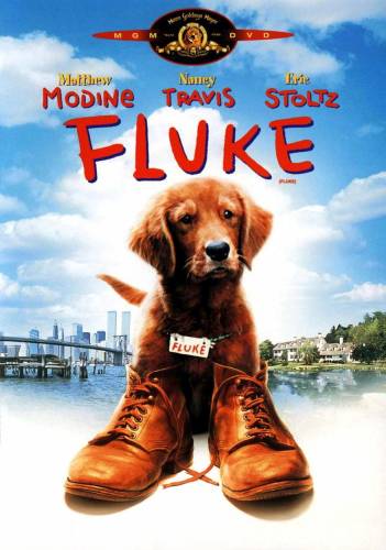 фильм Флюк (1995)
