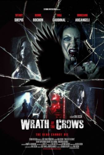фильм Гнев вороны (2013)