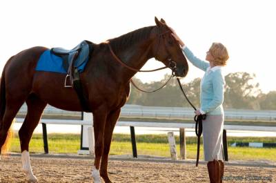 Чемпион - Скриншот 1