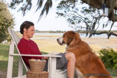 Выбор - Скриншот 2