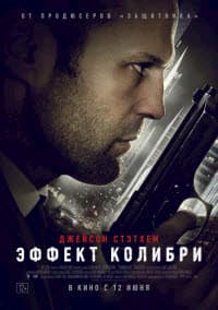 Эффект колибри (2012)