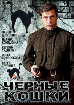 Черные кошки (2013)
