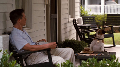 Мой пёс Скип - Скриншот 3