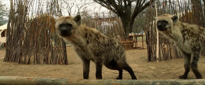 Тепловой удар - Скриншот 2