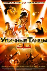 Уличные танцы 3D (2010)
