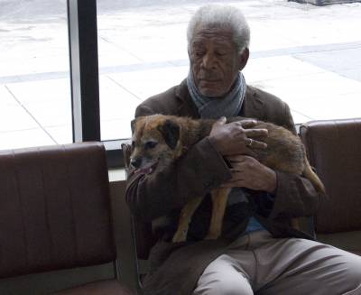 Сама жизнь - Скриншот 3